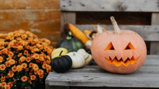 Take the big Halloween and Bonfire quiz if you think you're an Autumn lover - www.silvermagazine.co.uk