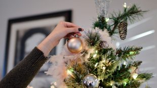 Eco-friendly tree options for this year's Christmas on Silver - www.silvermagazine.co.uk