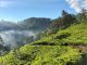 View of Pekoe Trail in Sri Lankan Hills. Lush mountains and walking trail