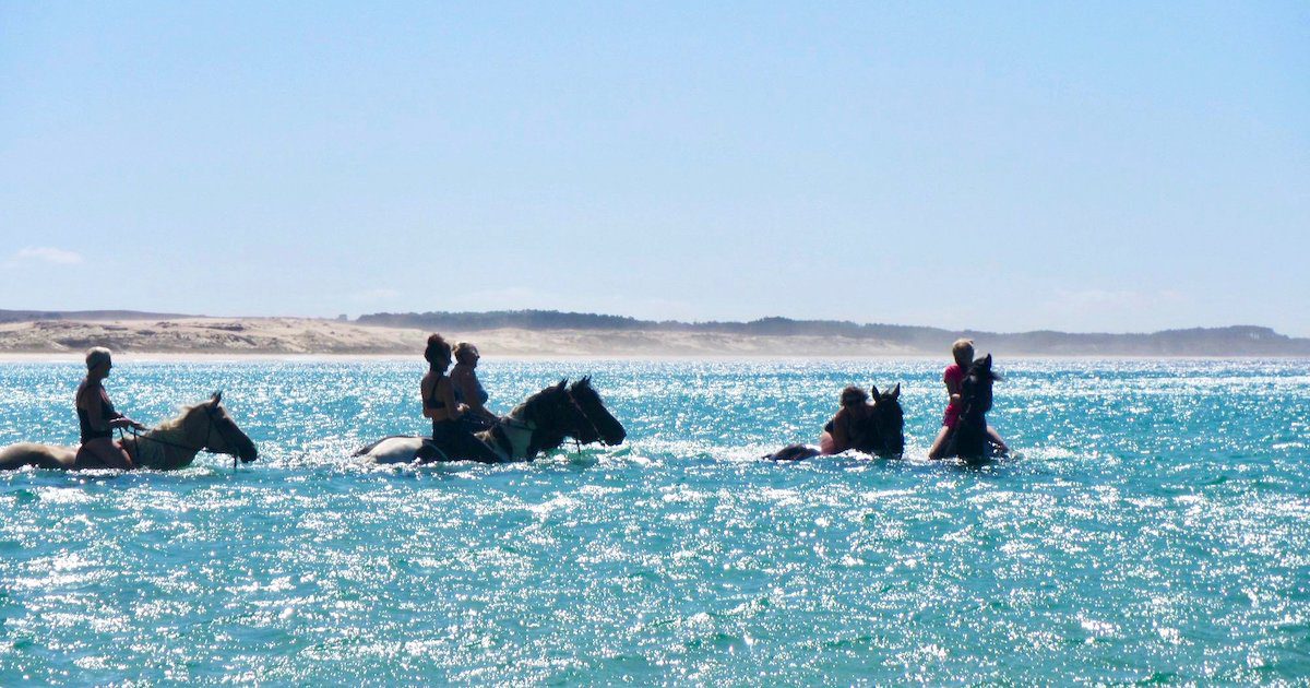 Three horses swim in a blue ocean with people on their backs. The healing power of horses. Read more only on Silver - www.silvermagazine.co.uk
