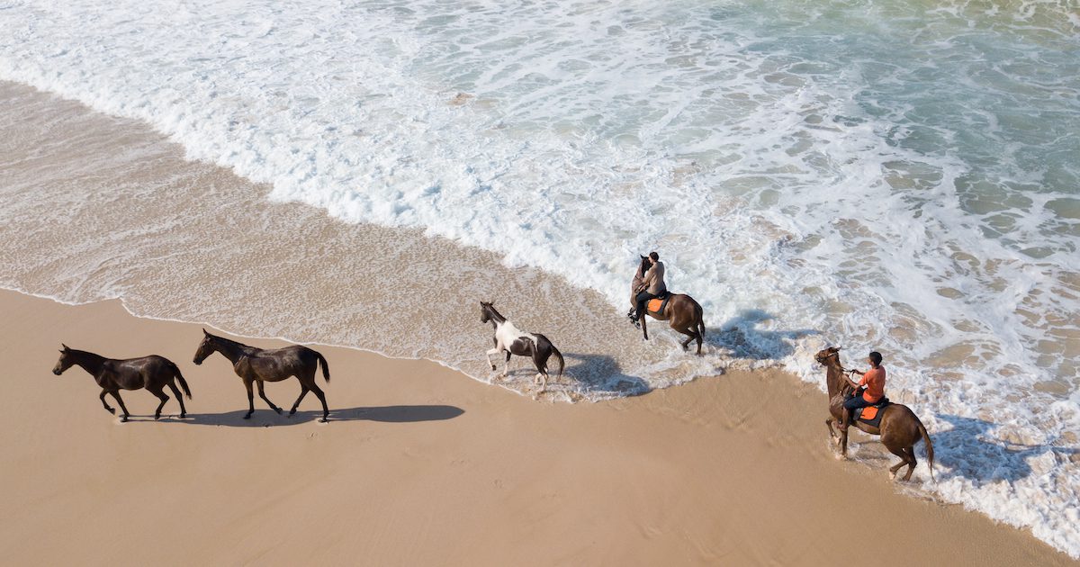 Bird's eye view of five horses galloping to the left by the shore. The healing power of horses on Silver - www.silvermagazine.co.uk