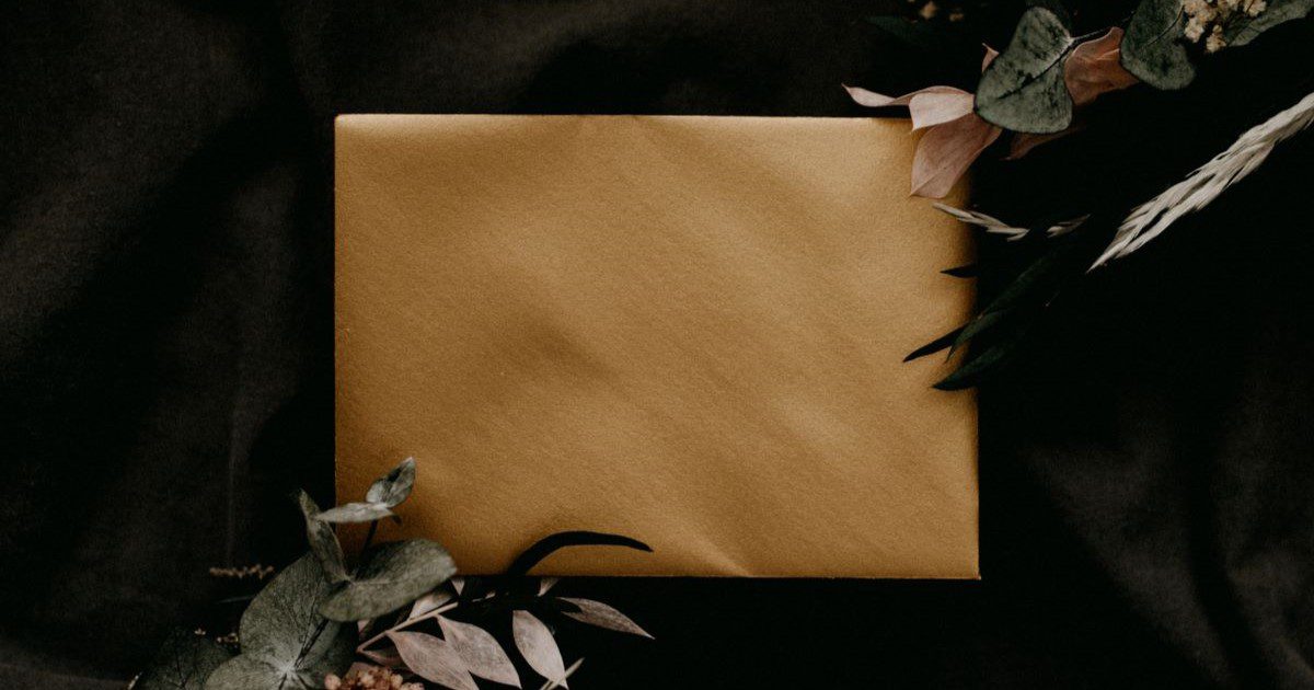 A blank brown envelope on a dark background, with leafy plants on either side