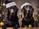Image is AI generated, showing two black labrador dogs sitting side by side in a christmas scene, with glasses of champagne