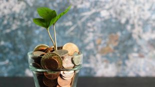 Sapling growing out of a pot filled with pennies. Controlling finances