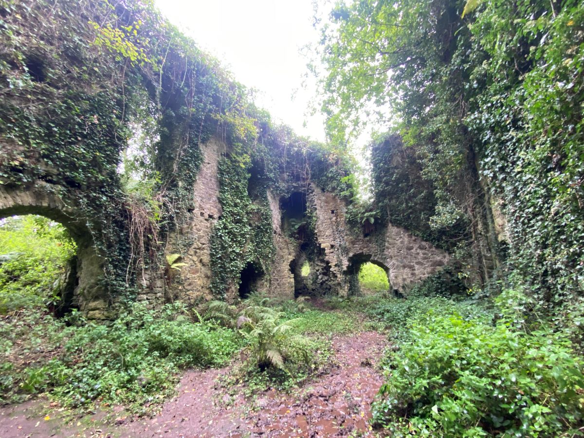 Image outside showing ruins surrounded by grass and trees, with leaves growing over the stone.