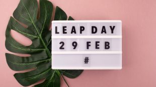 White block calendar present date 29 and month February and plant on pink. Leap day